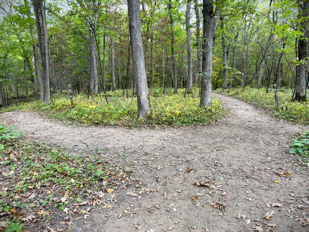 A trail with two paths