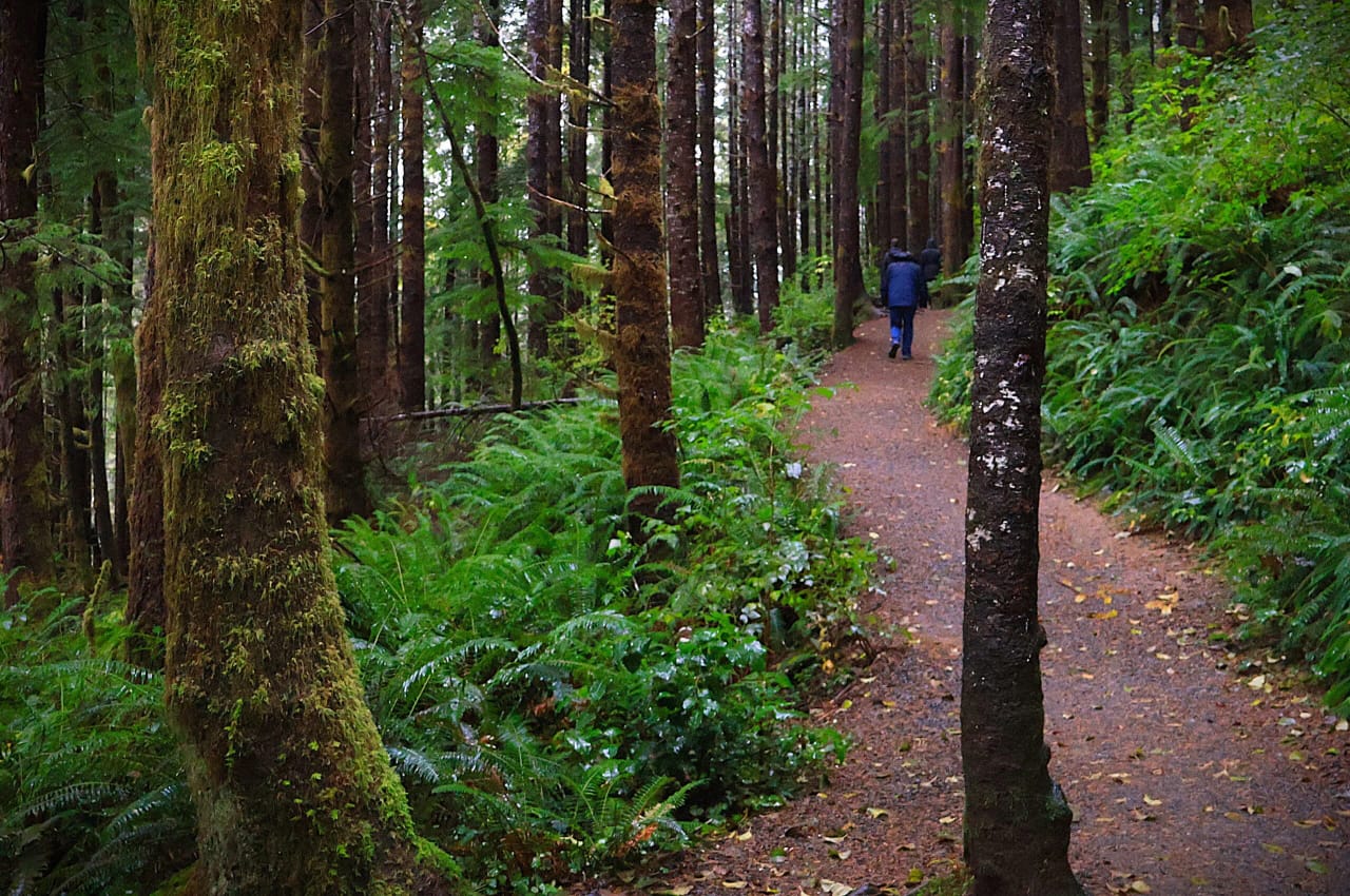 A hiker on an Oregon trail